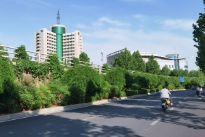 “官方回应郑州何时能解封” 郑州到底啥时候解封啊？