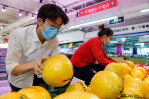 包含31省份新增本土确诊132例河南64例的词条