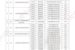 上海新增︰(上海新增中本贯通)