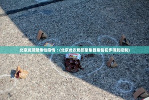 北京发现聚集性疫情︰(北京此次局部聚集性疫情初步得到控制)