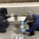 西安临潼区发现一例初筛阳性,西安临潼区最新疫情