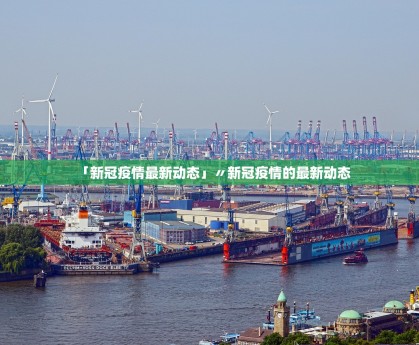 31省区市连续6天无新增本土确诊.31省连续7天无新增本土确诊
