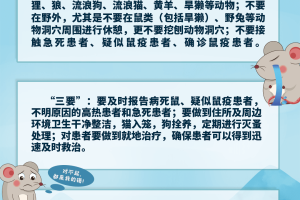 “各地最新防疫政策一图速览” 各地最新防控政策？