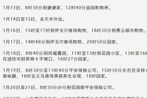 沈阳新增1例本土确诊病例-沈阳新增1例本土确诊病例 轨迹