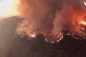 青岛疫情动态〃青岛疫情动态图