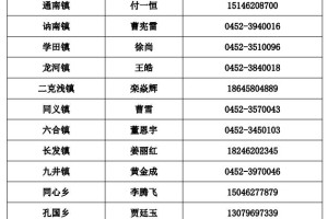 返乡政策查询︰(返乡防疫政策查询)
