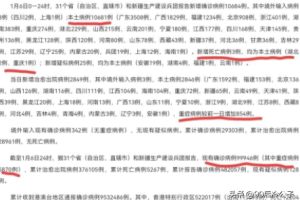31省区市新增本土确诊43例-31省区市新增本土确诊37例