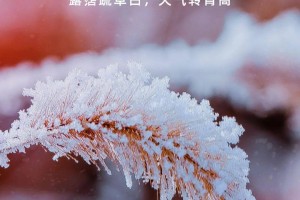 吉林确诊曾赴北京-吉林确诊行动轨迹