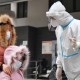浙江昨日新增12例本土确诊,浙江昨日新增一例是那里