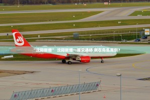 “沈阳新增” 沈阳新增一座交通桥 就在鸟岛南侧？