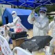 郑州发现3例阳性人员相关区域封控︰(郑州发现3例阳性人员相关区域封控郑州疫情阳性)