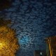 “新疆解封” 新疆解放时间和成立自治区时间？