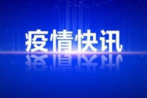 重庆市新增本土确诊病例3例-重庆市新增确诊病例35例,累计确诊病例110例