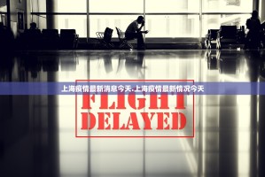 “哈尔滨新增确诊病例8例” 哈尔滨新增确诊病例15例？