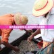 北京新增22例.北京新增22例确诊均与新发地有关