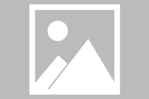 「黑龙江新增16例本土确诊」〃黑龙江新增本土确诊病例
