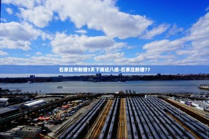 「石家庄新增曾去武汉」〃石家庄确诊病历来过武汉