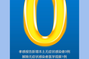 【湖北新增本土确诊病例9例／湖北新增确诊病例317人】