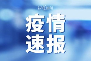 11日河南疫情速报〃11日 河南新增