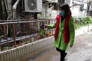 石家庄裕华区疫情,石家庄裕华区疫情防控