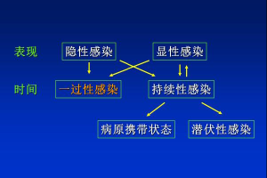四川新增本土确诊127例.四川新增本土确诊病例