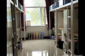 “沈阳职业技术学院阳性学生隔离治疗” 沈阳职业技术学院让出去住吗？