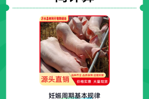 “31省份新增本土确诊53例” 31省份新增31例确诊病例 本土5例？