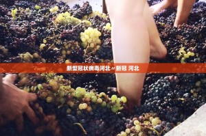 新型冠状病毒河北〃新冠 河北