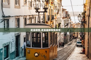 武昌疫情,武昌最新疫情报告