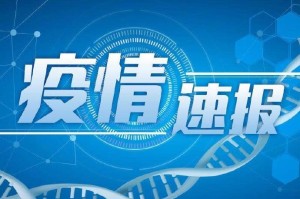 上海新增本土确诊4例无症状8例