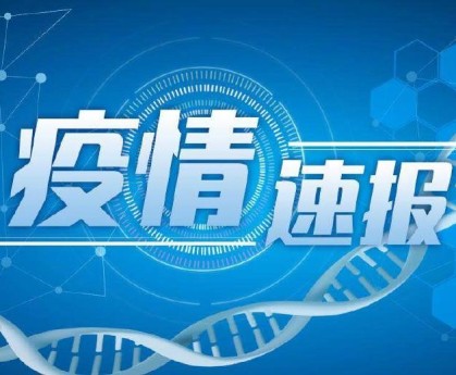 上海新增本土确诊4例无症状8例