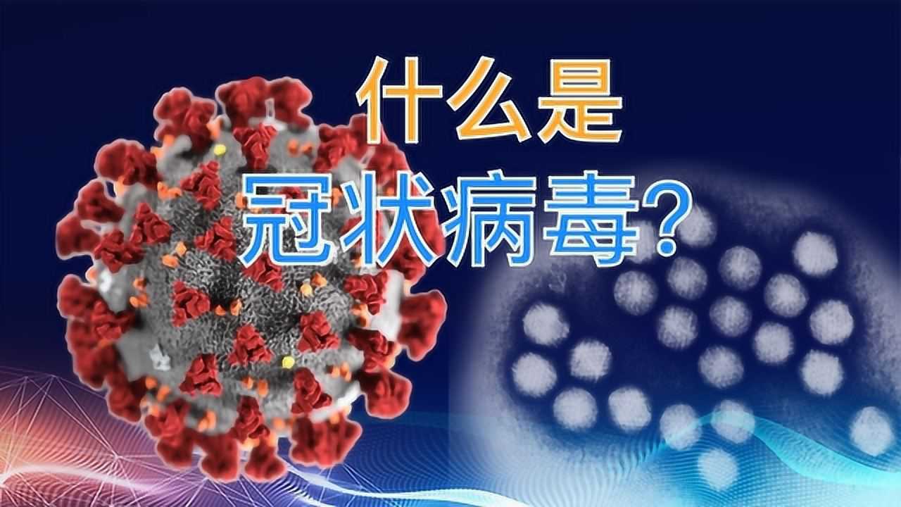 西安新型冠状病毒〃西安新型冠状病毒最新动态-第1张图片