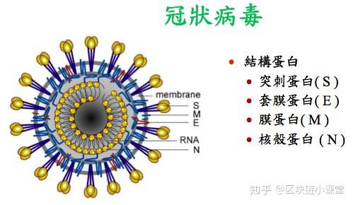 “美国新型冠状病毒最新消息	” 美国新型冠状最新情况？-第3张图片