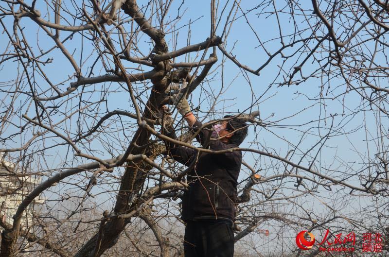 河北保定现状如何?市民:感染者确实不少︰(河北保定现在的疫情还严重吗)-第1张图片