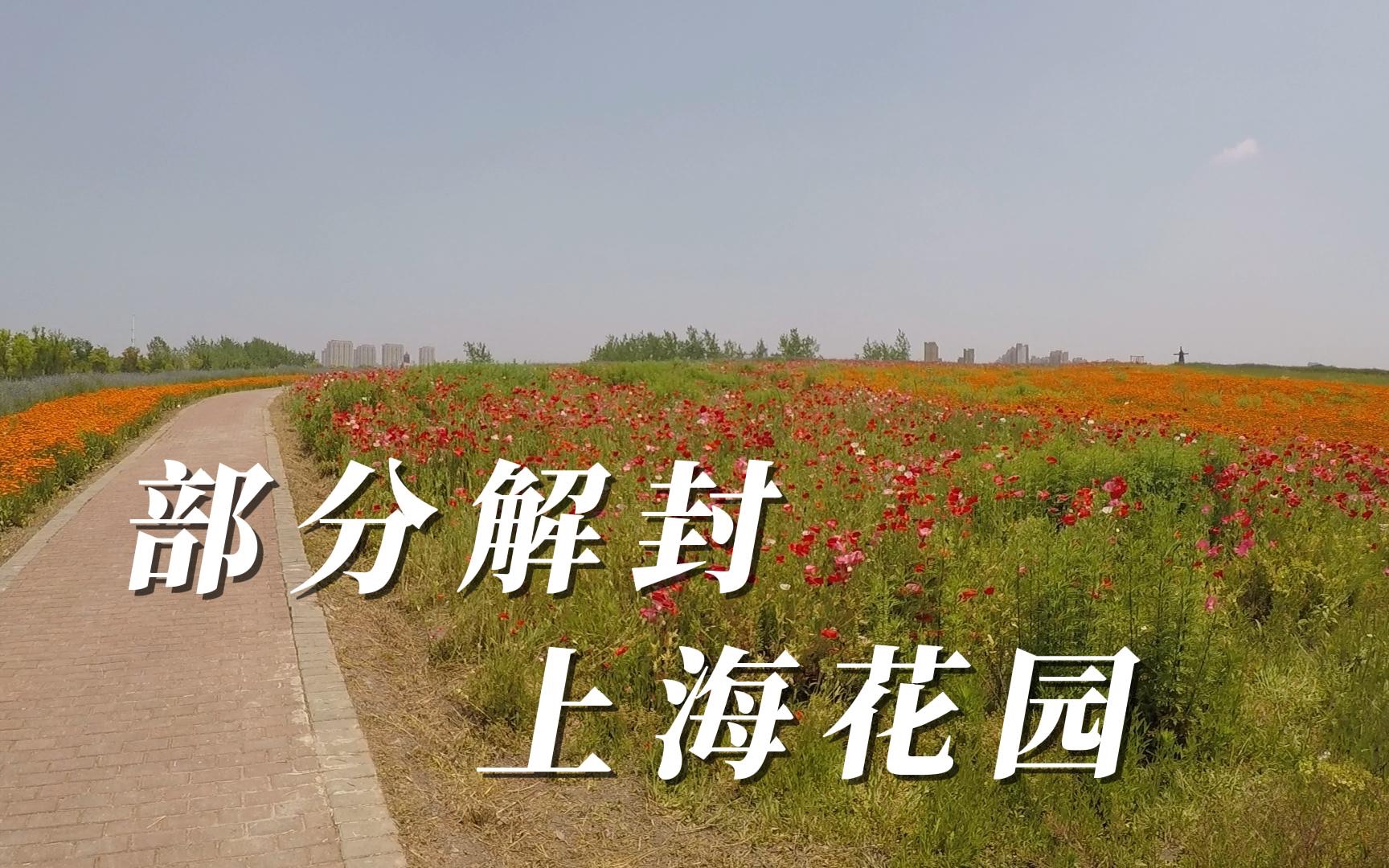 【上海什么时候能解封/上海啥时候能解封】-第1张图片