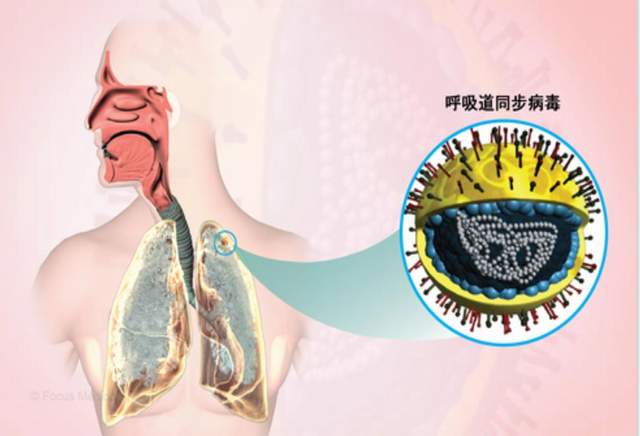 “上海确诊” 上海确诊人数正在上升!尚无特效治疗药,这类人特别注意？-第1张图片