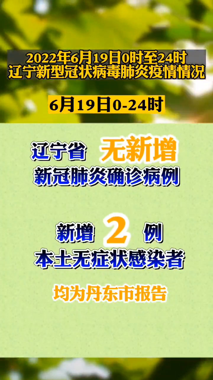 沈阳今日疫情发布-沈阳今日疫情发布会-第2张图片
