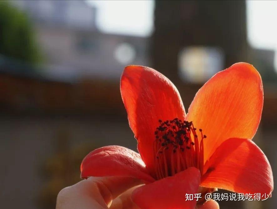 「广东新增13例本土无症状感染者」〃广东新增13例本土无症状分布-第1张图片