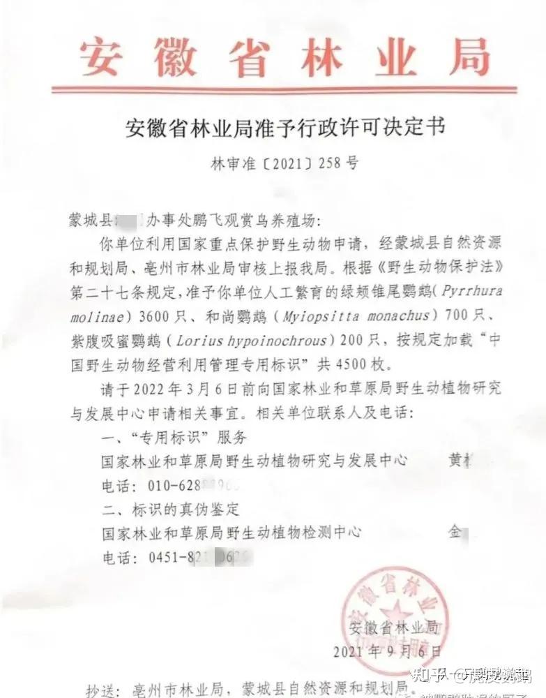 “石家庄解封时间” 2021年石家庄解封时间？-第1张图片