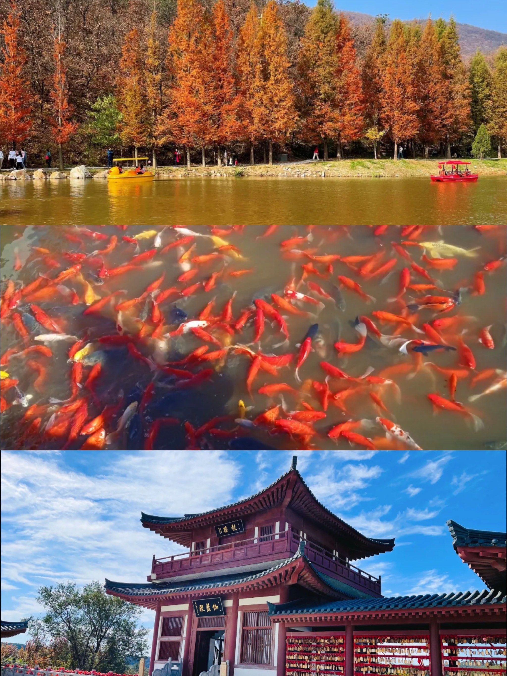 「大连:恢复正常生产生活秩序」〃大连复工最新通告-第2张图片