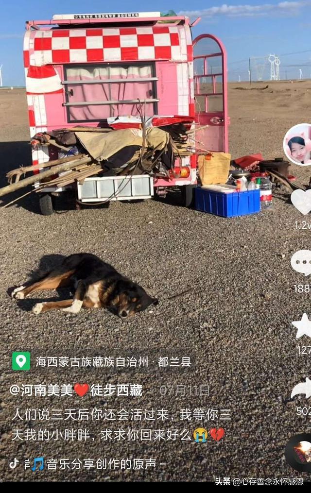 7天130人感染离开河南的人去哪了.河南12人感染-第1张图片