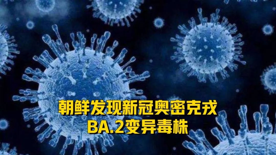 “2023第二波疫情已经到来了	” 2020第二波疫情？-第1张图片