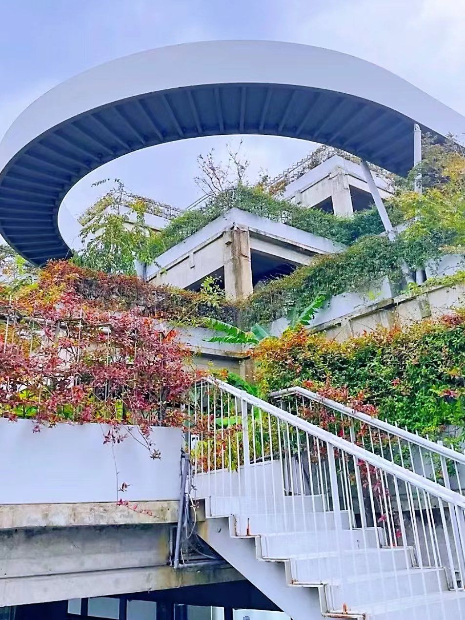 「上海三地列为中风险地区」〃上海三地列为中风险地区怎么办-第1张图片